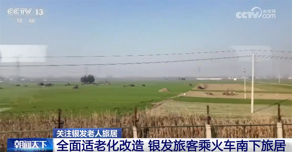 旅居激活“银发经济”新蓝海